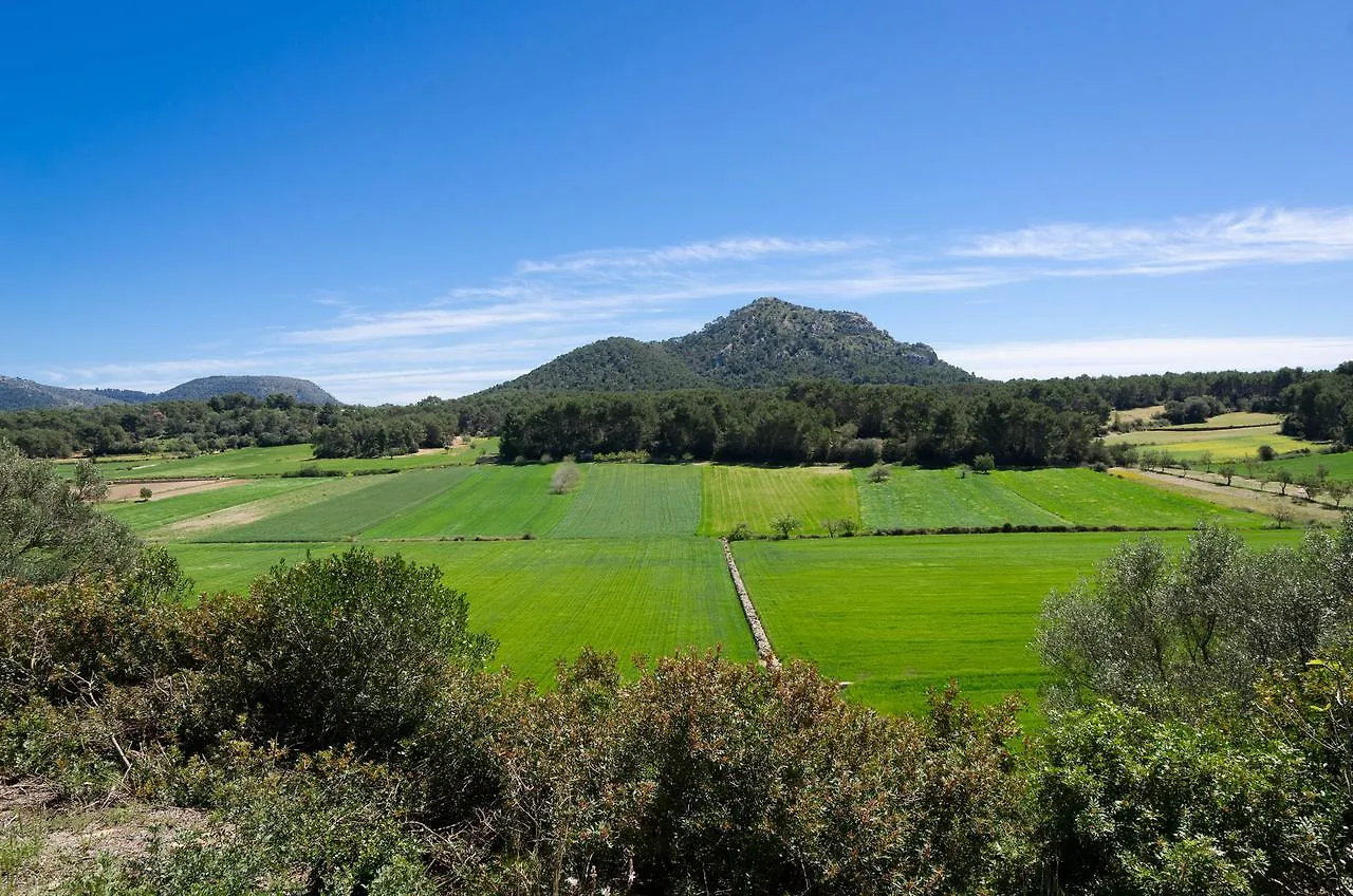 Na Bubota Villa Algaida
